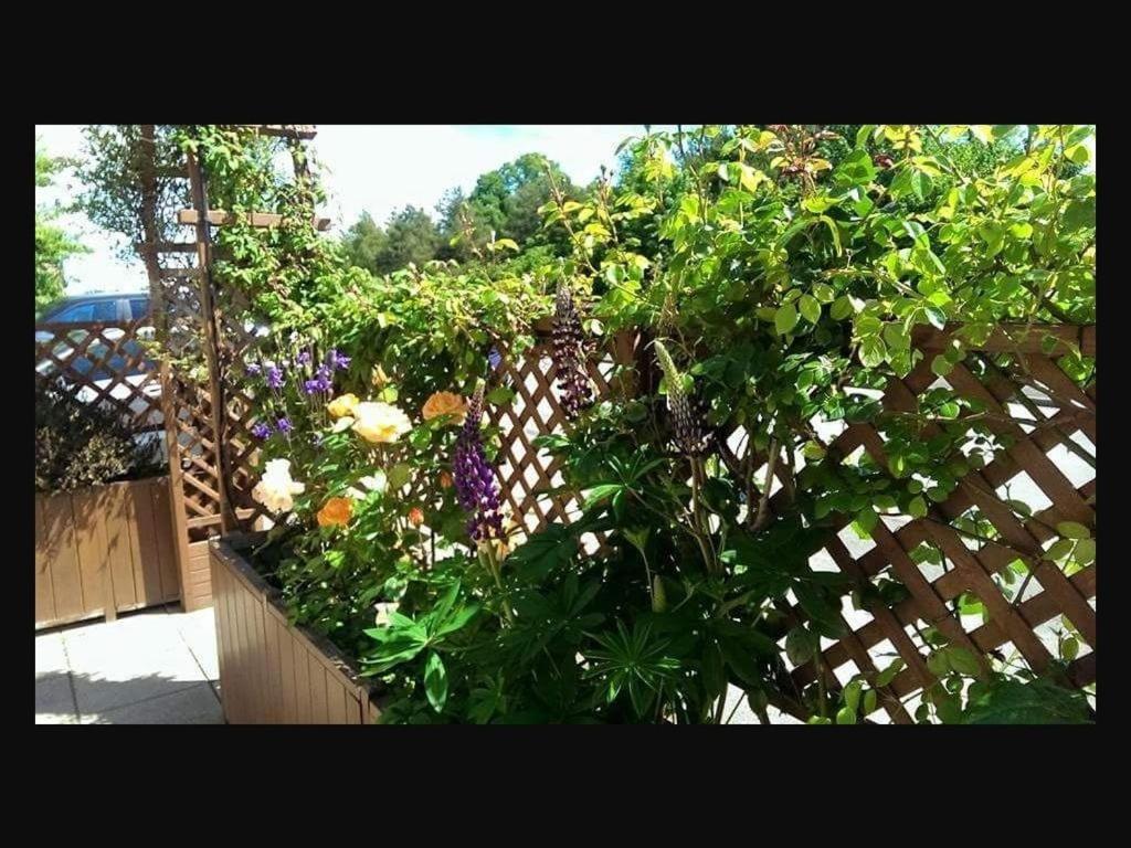 Bed and Breakfast The Old Bell Shrewsbury Esterno foto